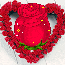 cette fleur je l offre a tt les femmes du monde 